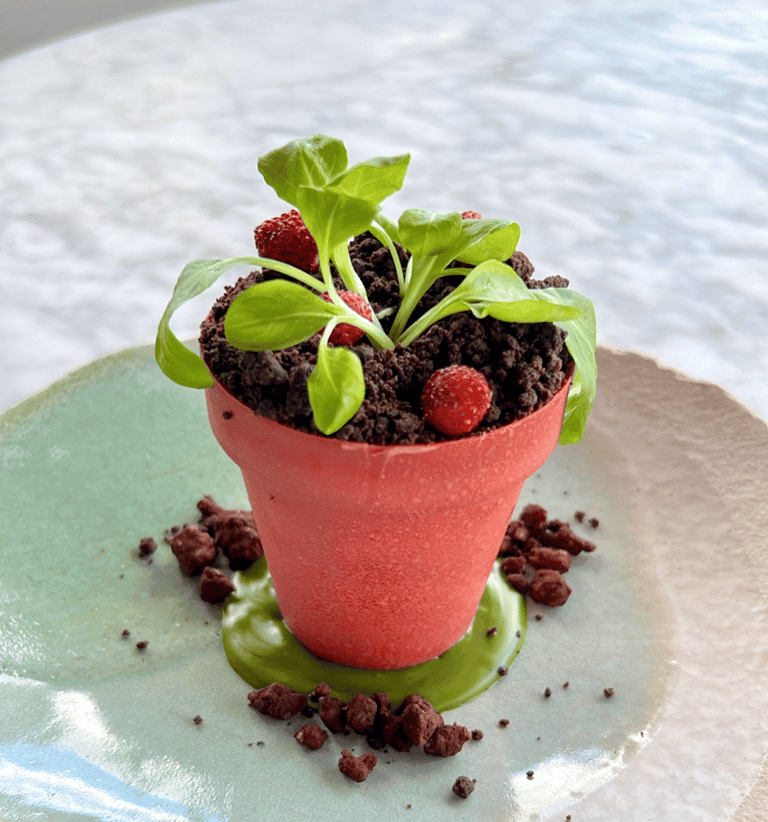a dessert  that looks like a flower pot