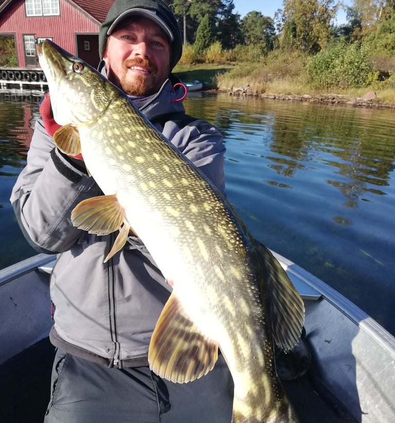 with fishing escape sweden a fisherman holds a big pike. he is on a boat, there is a swedish house.