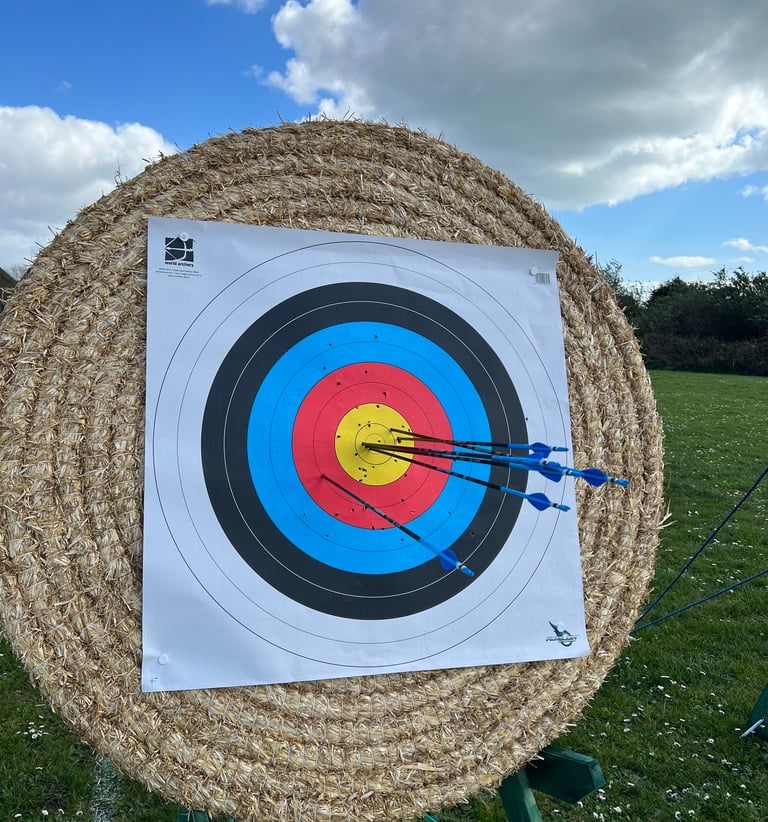 a target with arrows that have been shot into it