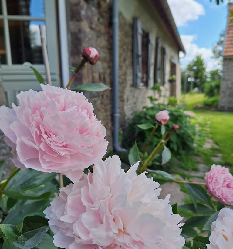 De tuin is elk seizoen anders.
