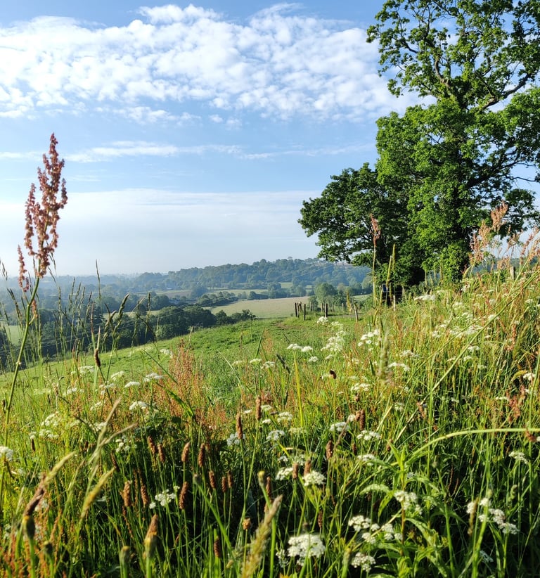 Het uitzicht vanaf de heuvels bij ons huis.