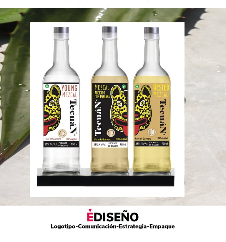 Un proyecto que no se concretó sin embargo se trabajo intensamente