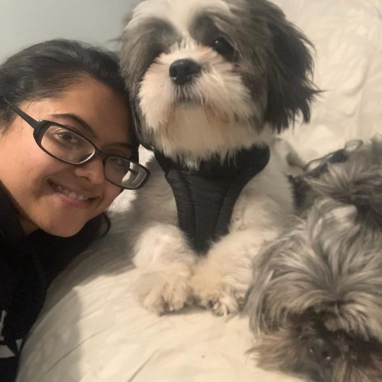 Local pet sitter with two small, content dogs in N9, Edmonton