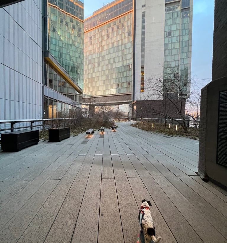 Quiet Sunrise on the High Line NYC