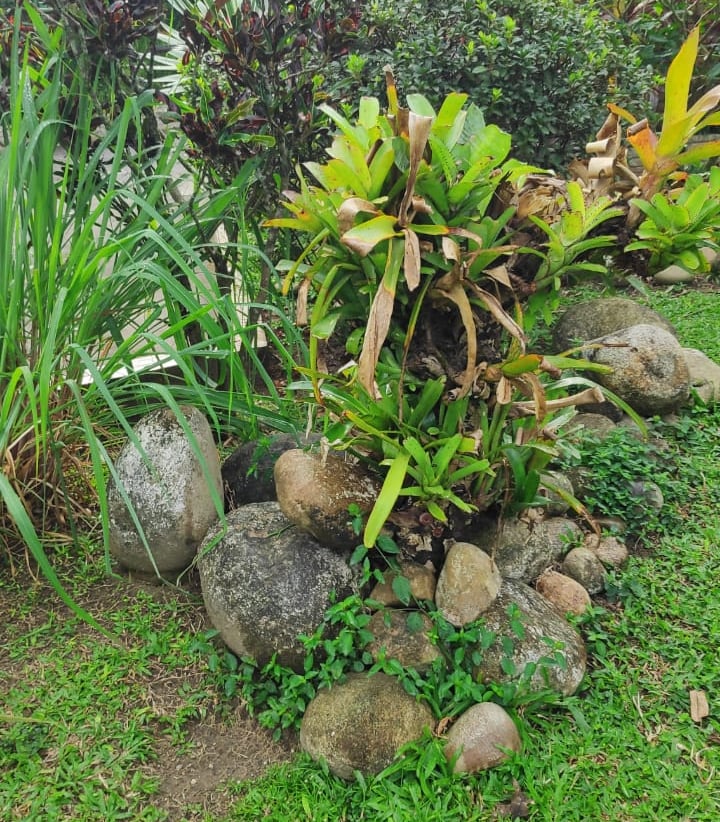 Jardins da Pousada