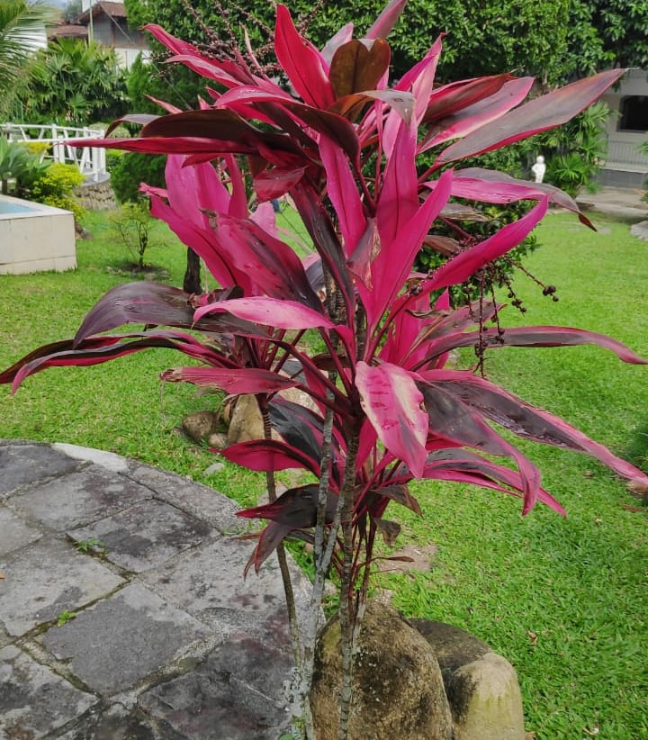 Jardins da Pousada