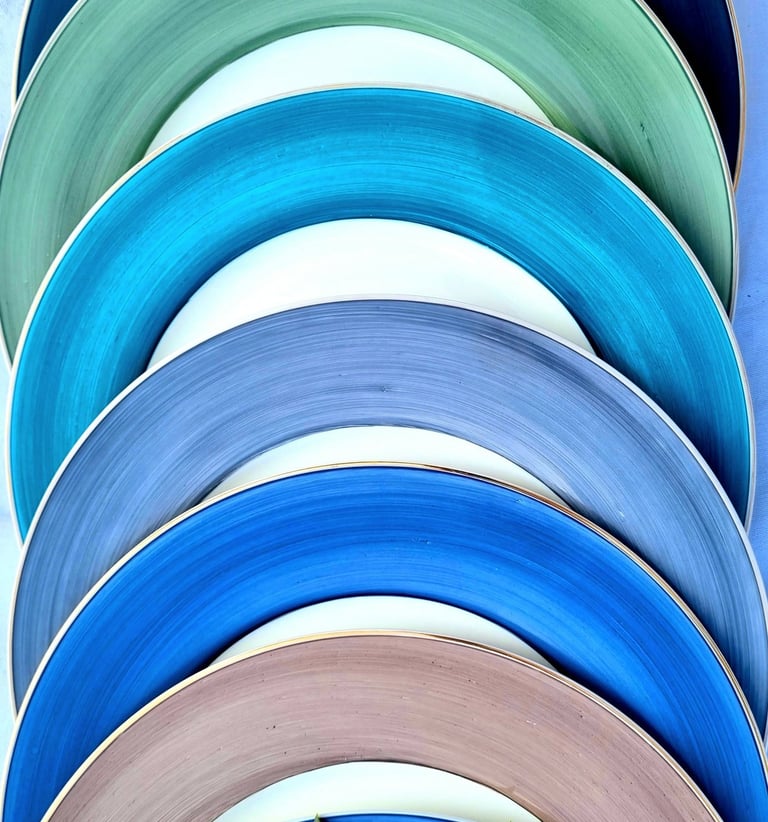 assiettes en porcelaine de différentes couleurs bleu