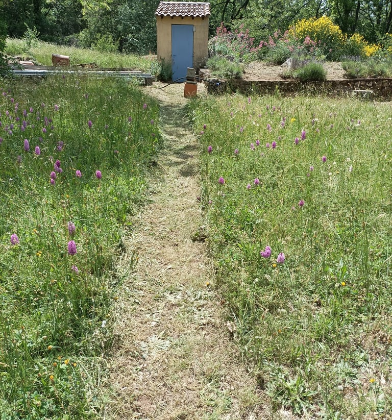 Our pump house