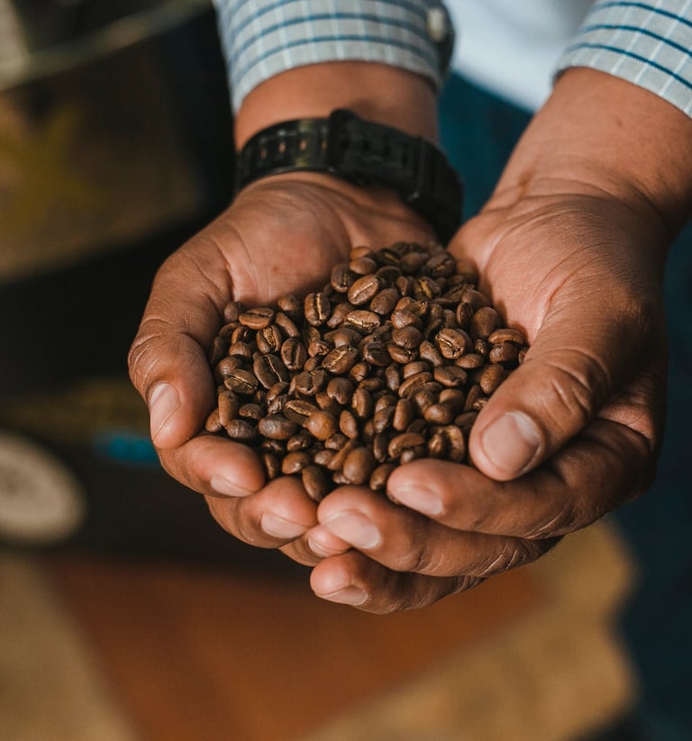 Cafe de especialidad de la region Coatepec 