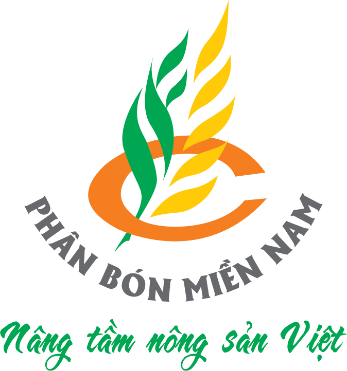 Bấm để xem thêm