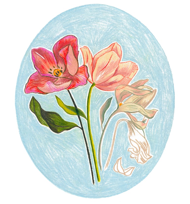 a drawing of a flower in a circle