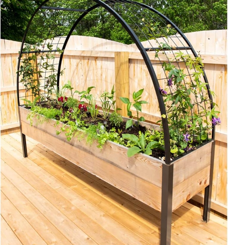 Raised wooden garden bed with a black arched trellis for climbing plants on a backyard deck.