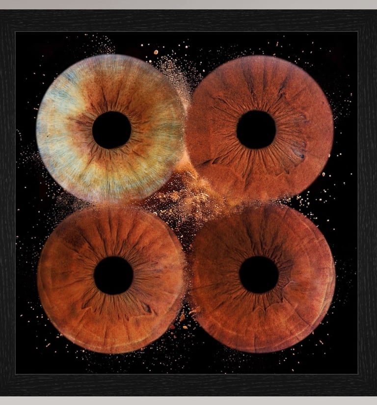 Tableau verre acrylique avec 4 iris et boite américaine