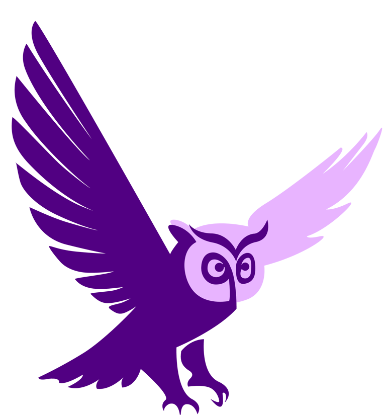 Titan Solutions logo head