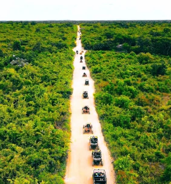 Passeio de buggy por uma estrada de terra cercada por vegetação exuberante em Punta Cana buggy