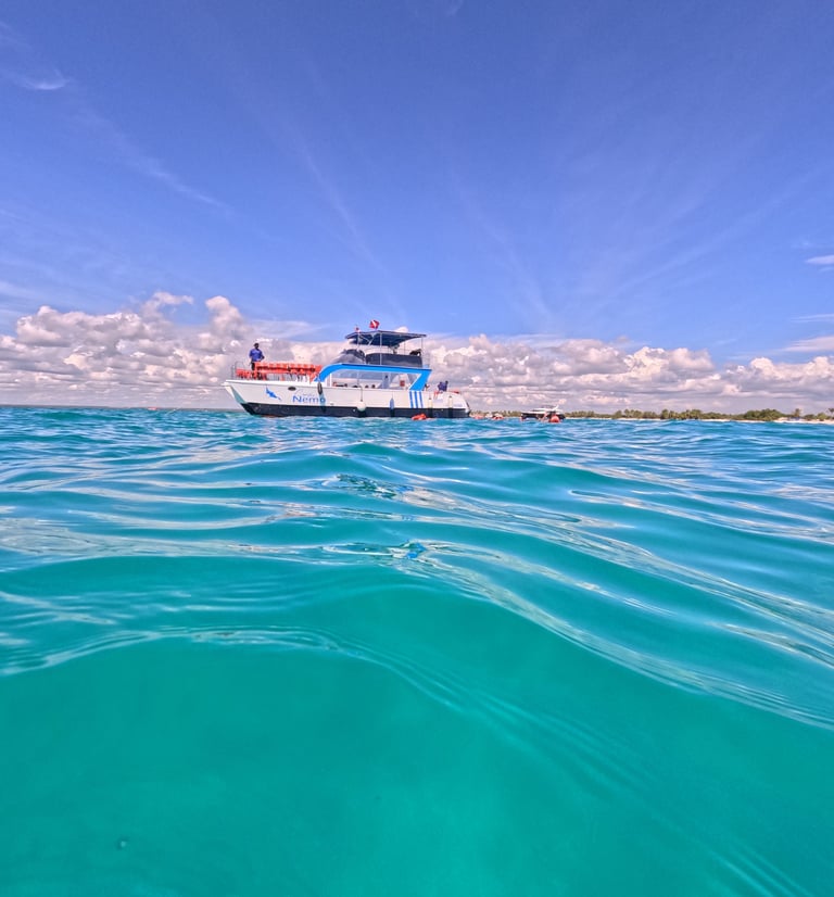 a boat in the water with a boat in the background catalina island punta cana