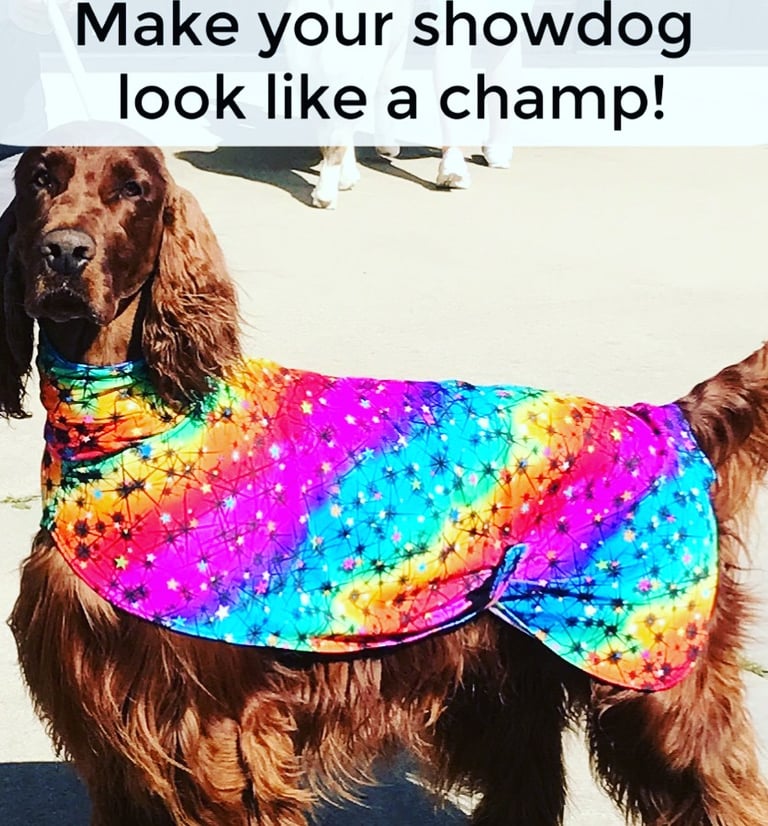 Irish Setter wearing a colorful dog grooming slinky