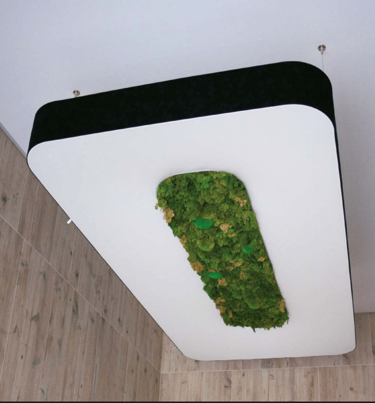 MODULE´ POLO MOSS VECTADESIGN