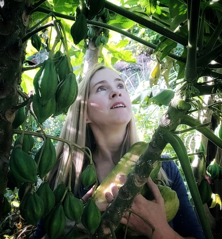 food forest new zealand