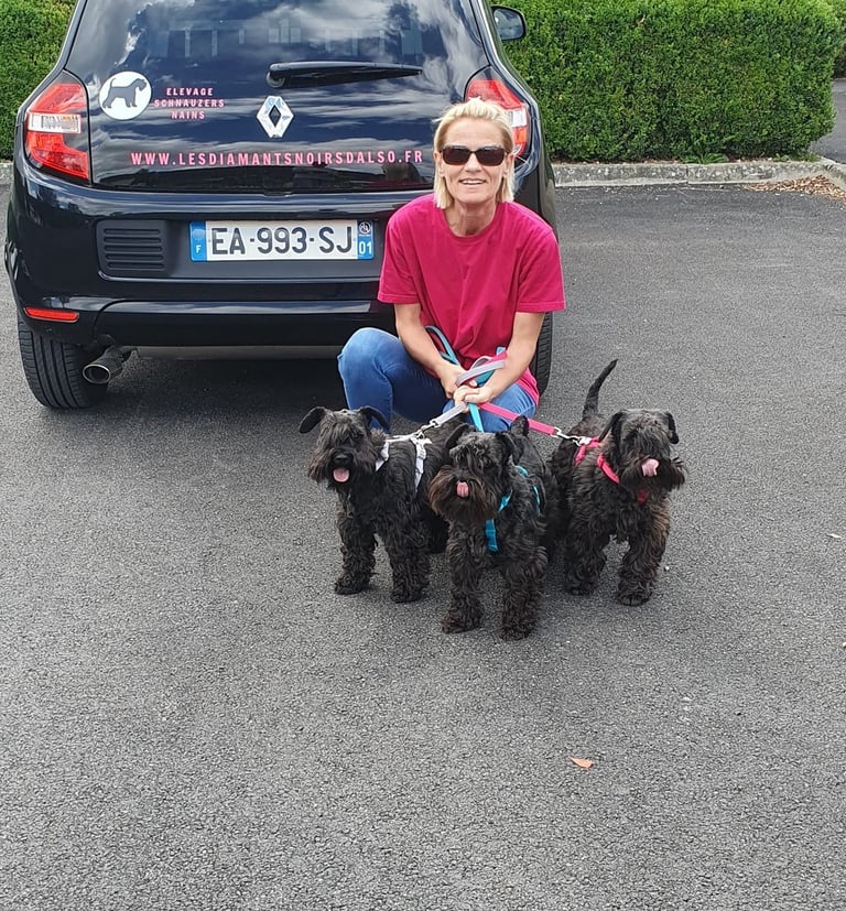 Voiture des Diamants Noirs d'Also