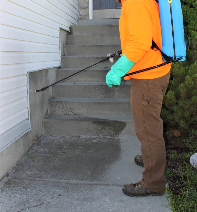 how to keep bugs out of house