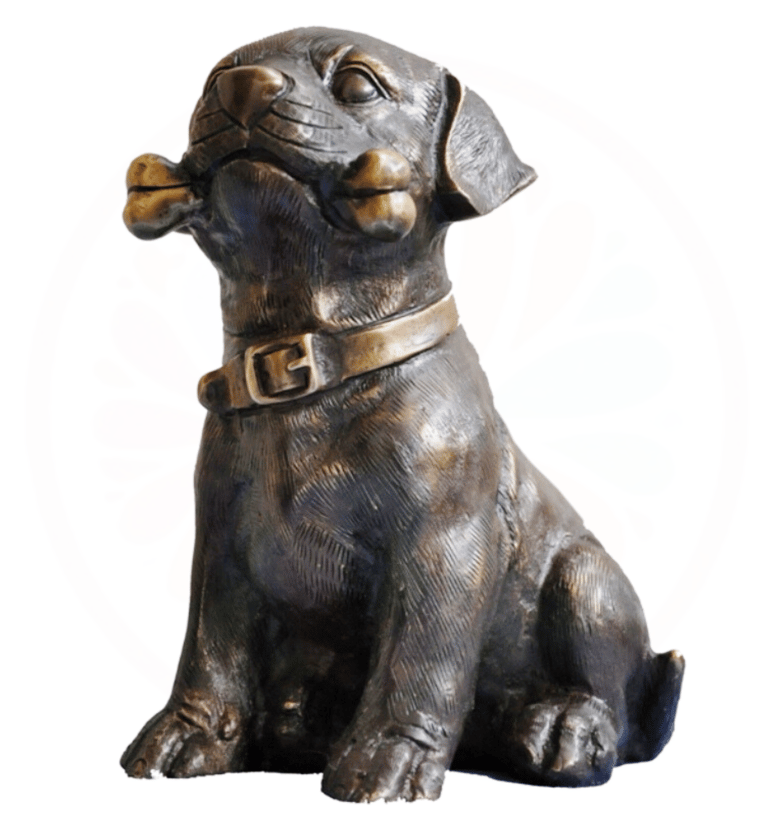 braa black dog