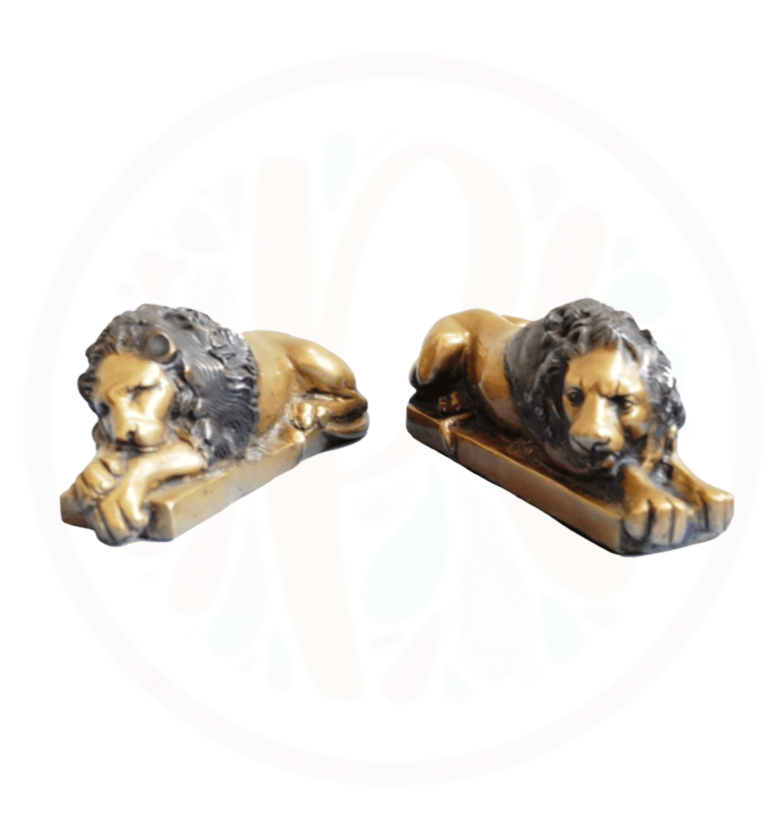 a pair of lioness sitting on a book