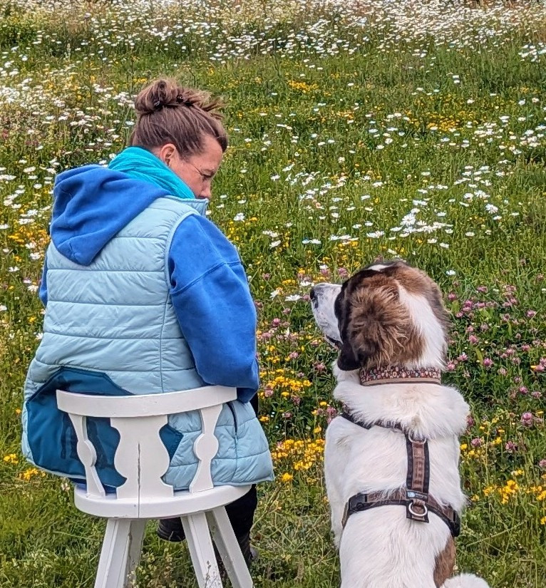 coaching mit Hund und BesitzerIn Gespräch