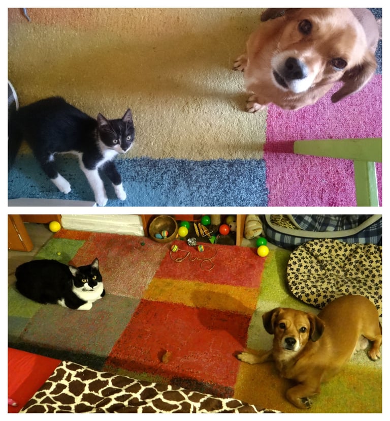 Little lives lived together