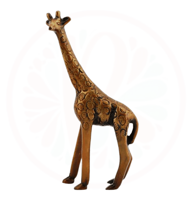 a giraffe standing on a white background