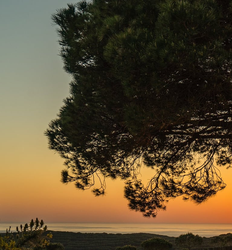 Sunset over the ocean from a hilltop in Algarve, Portugal.