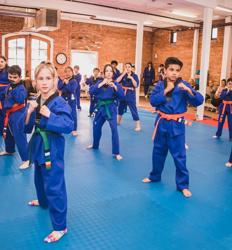 New Age Martial Arts - Madalena do Pico