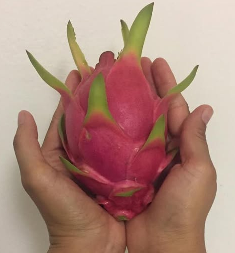 Native gardens heart