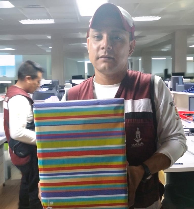 guardia de seguridad 3