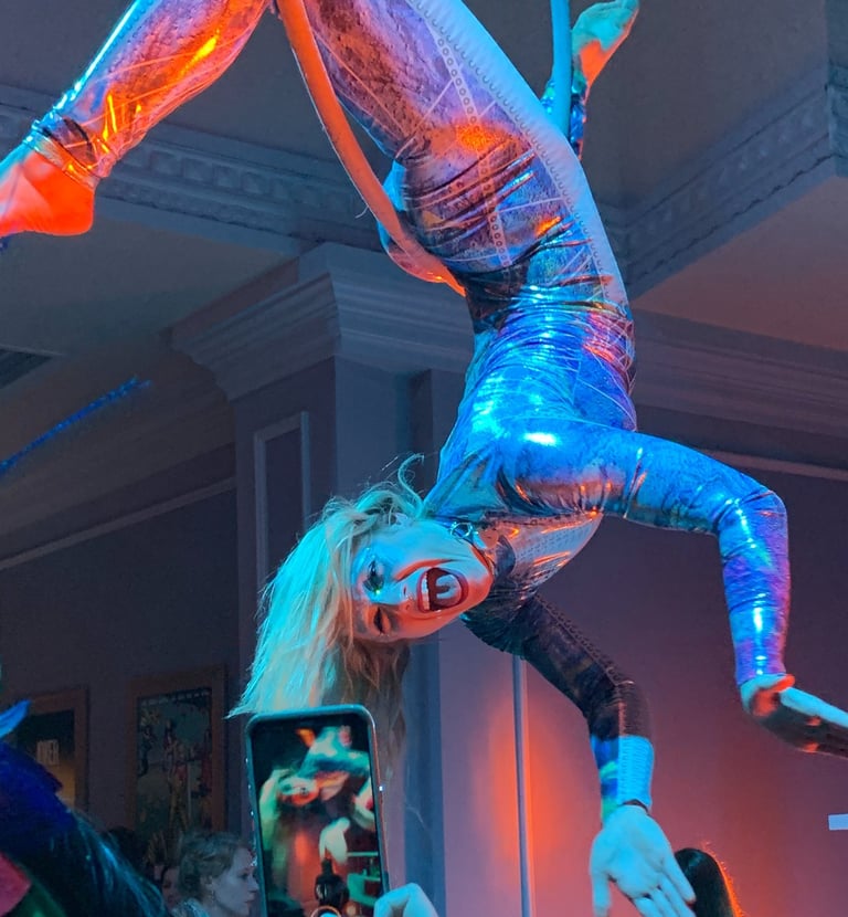Priscilla Somogie for Aerialogists at the WB Holiday Party 2019