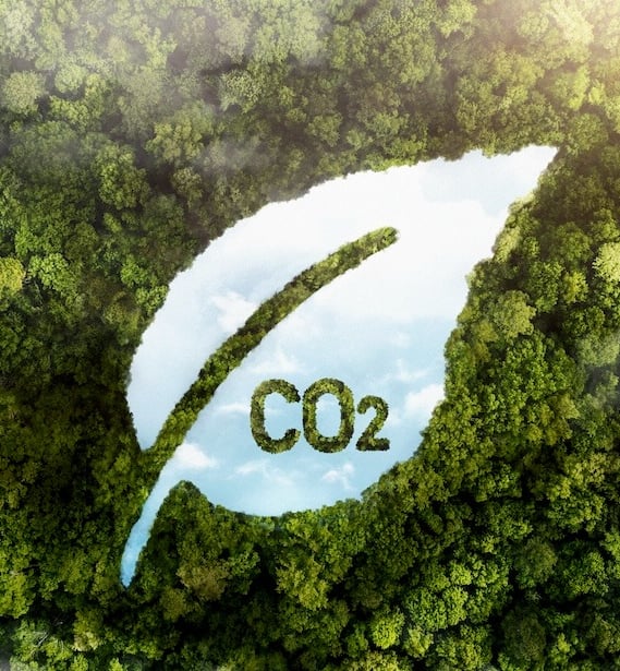 carbon-travel