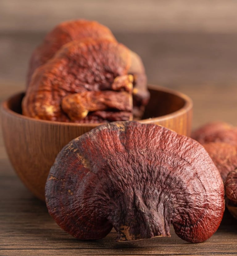 ganoderme dans un bol