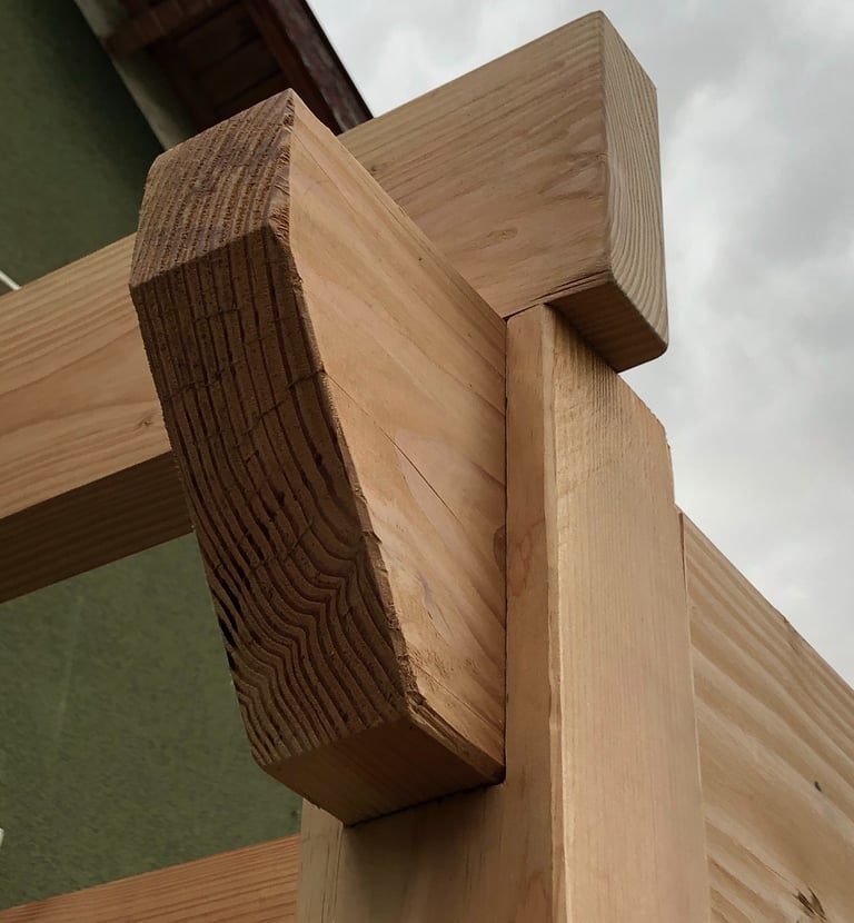 Pergola en bois de Douglas
