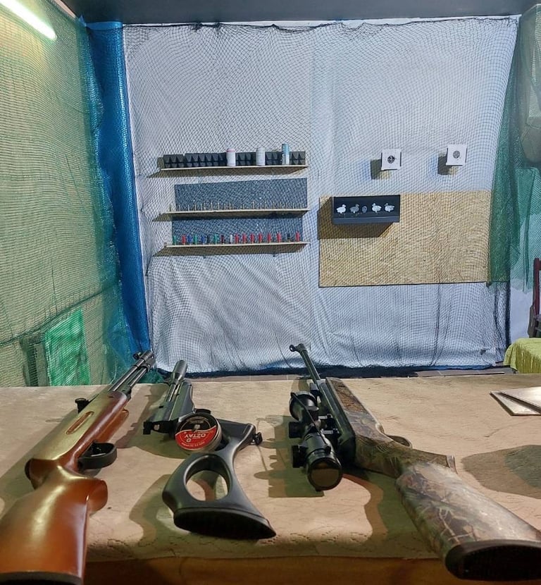 stalas su daug ginklų