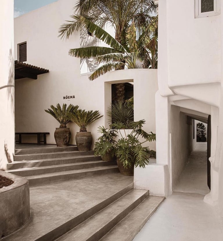 a building with a bunch of potted plants in it