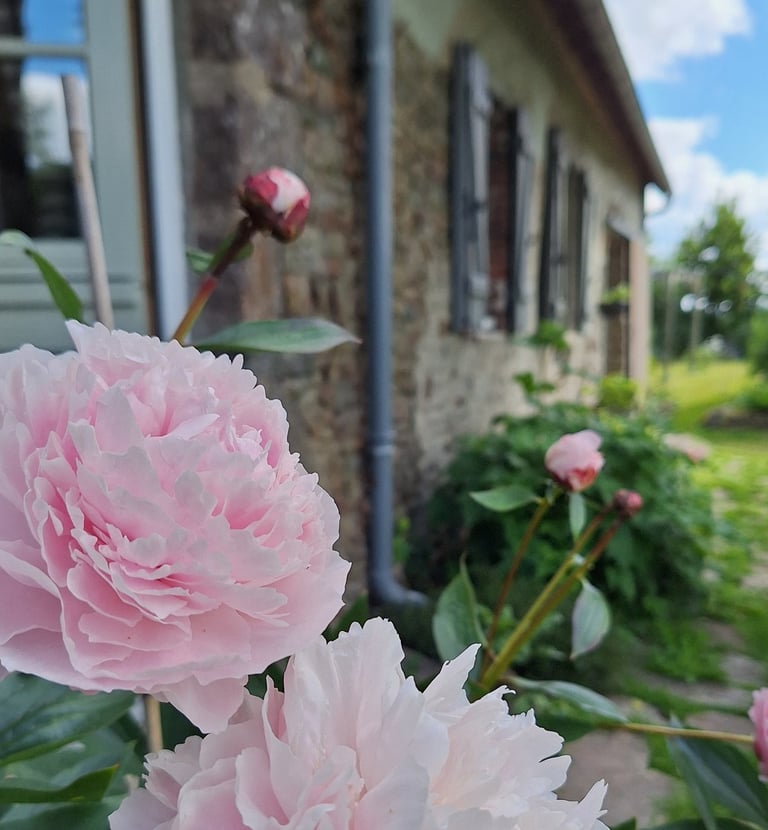 De tuin is elk seizoen anders.