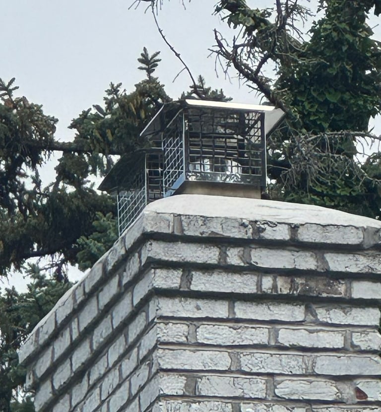 A newly installed stainless steel chimney cap and repaired crown on a painted brick chimney, providing weather and animal pro