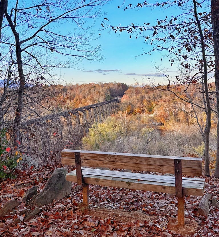panoramic viewpoint of James river at riverside park lynchburg va
