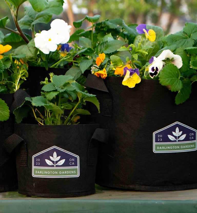 BRAND IMPACT NURSERY