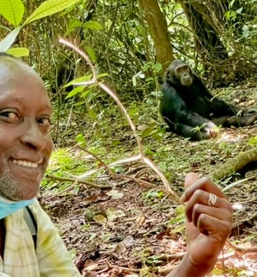 Gombe NP – Schimpansen hautnah in ihrem natürlichen Lebensraum erleben.