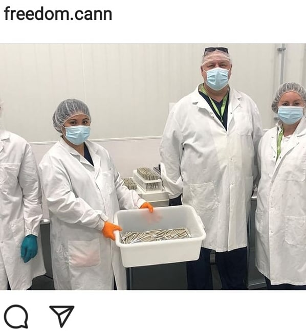 David Johnson and his  cannabis pre-roll team