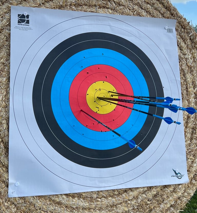 a target with arrows that have been shot into it