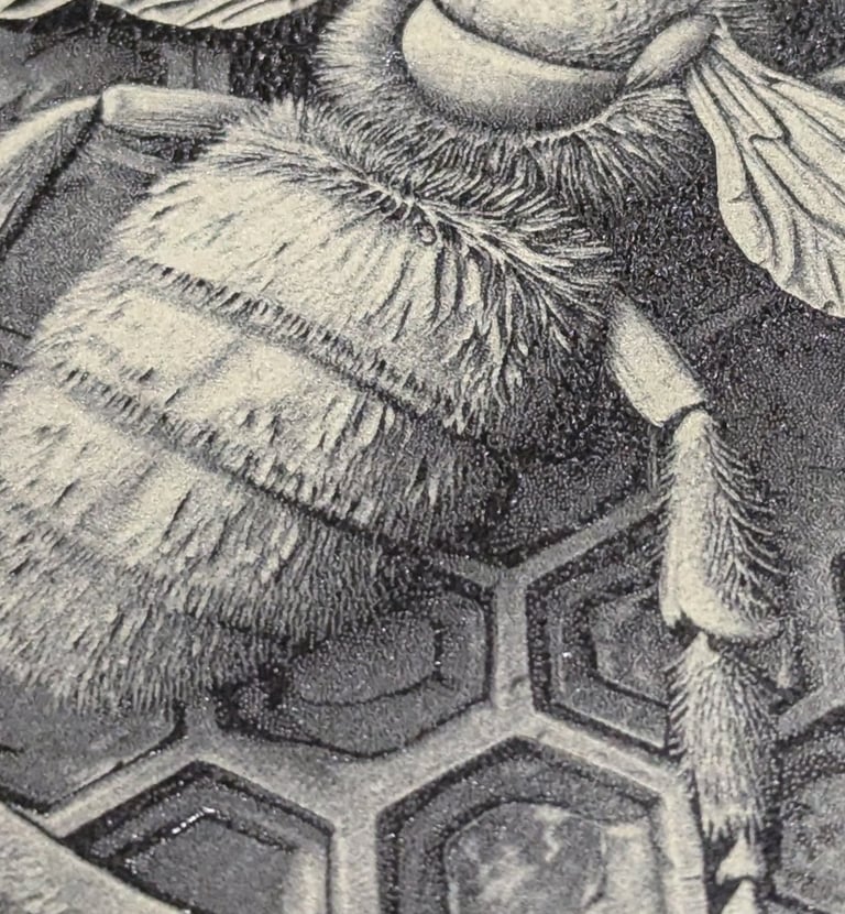 3D Effect Laser Engraved Bee Slate Coaster