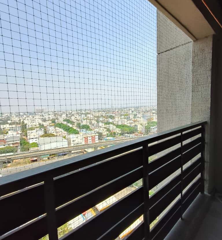 Wide shot showing pigeon nets protecting a commercial building's windows.