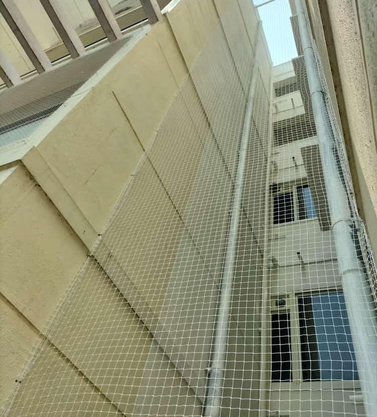 Wide shot showing a residential building in Vijayawada with newly installed duct nets on multiple ap